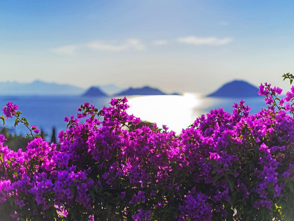 Sunset Mavi Villa Turgutreis Exterior photo